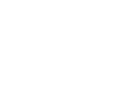 RAYVIS