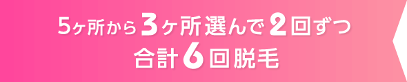 5ヶ所から3ヶ所選んで2回ずつ合計6回脱毛