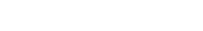 RAYVIS|エステティック レイビス